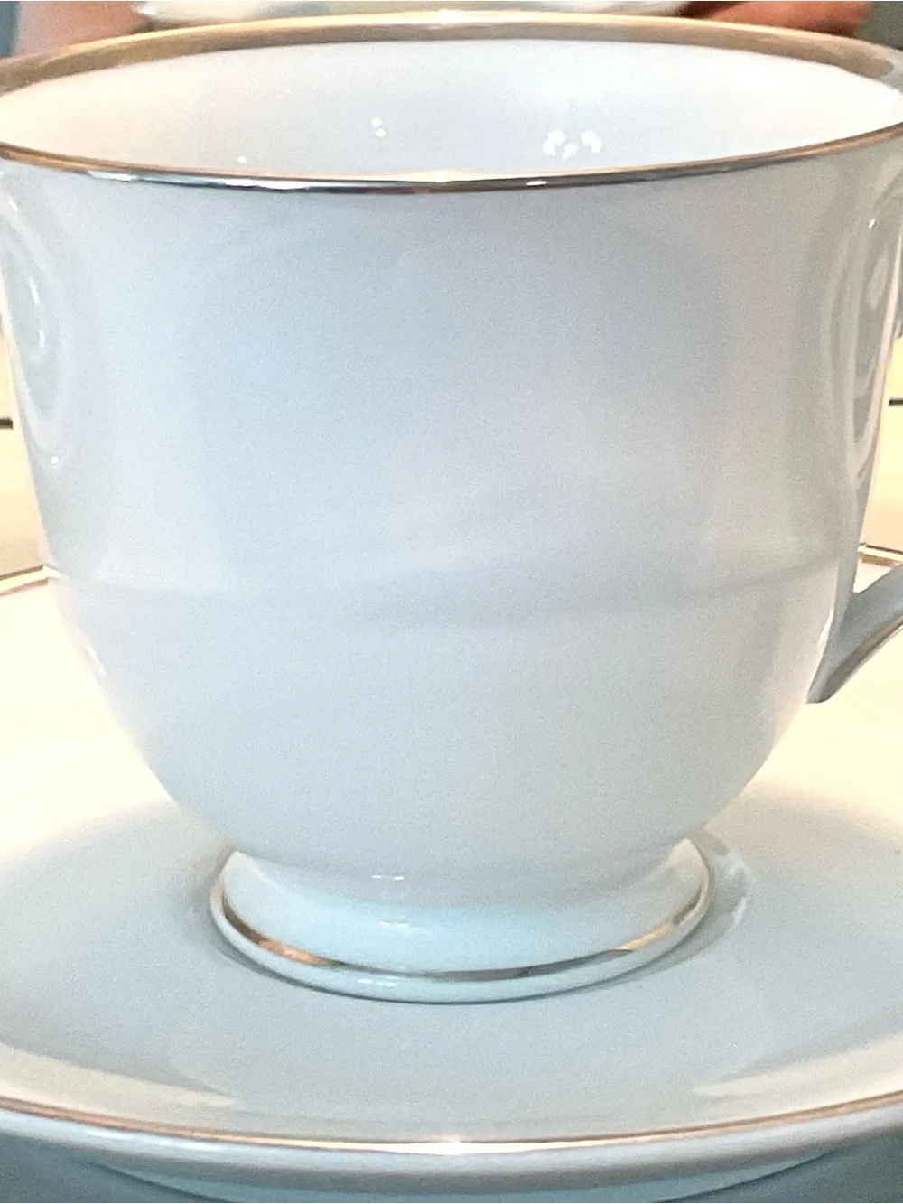 NEW! Nikko Brand Patra “Band of Platinum” – Complete 6‑Place China Setting
